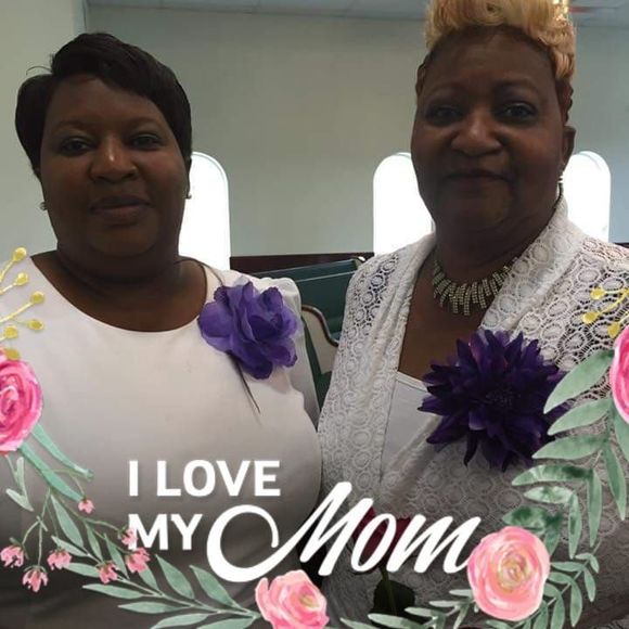 Meet your Posher, Holethia - Picture 1 of 1